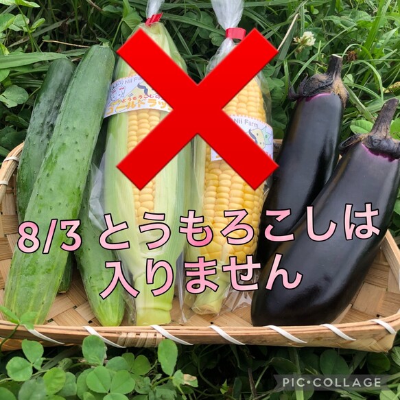とうもろこしについて