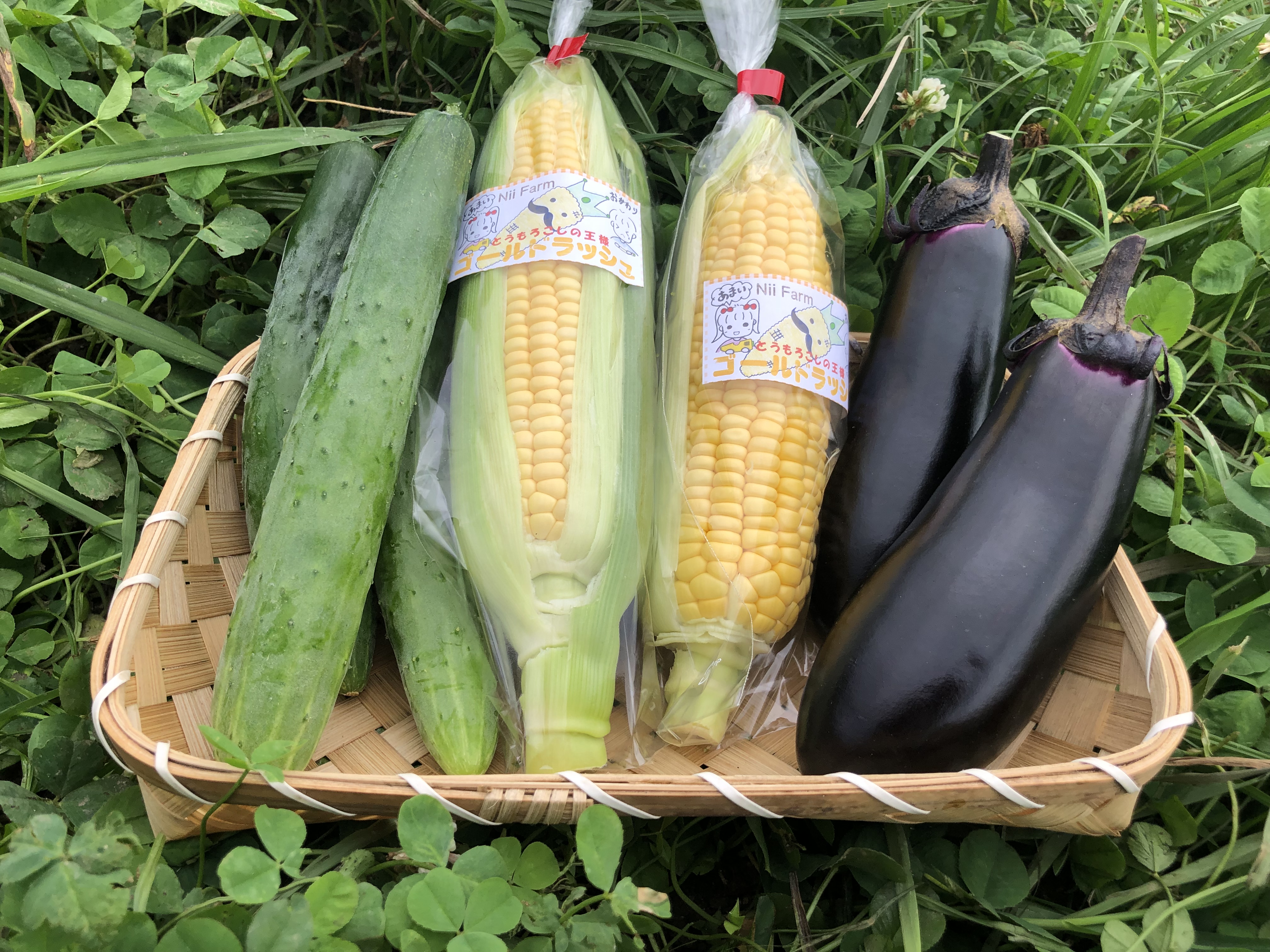 野菜セットの販売を始めました