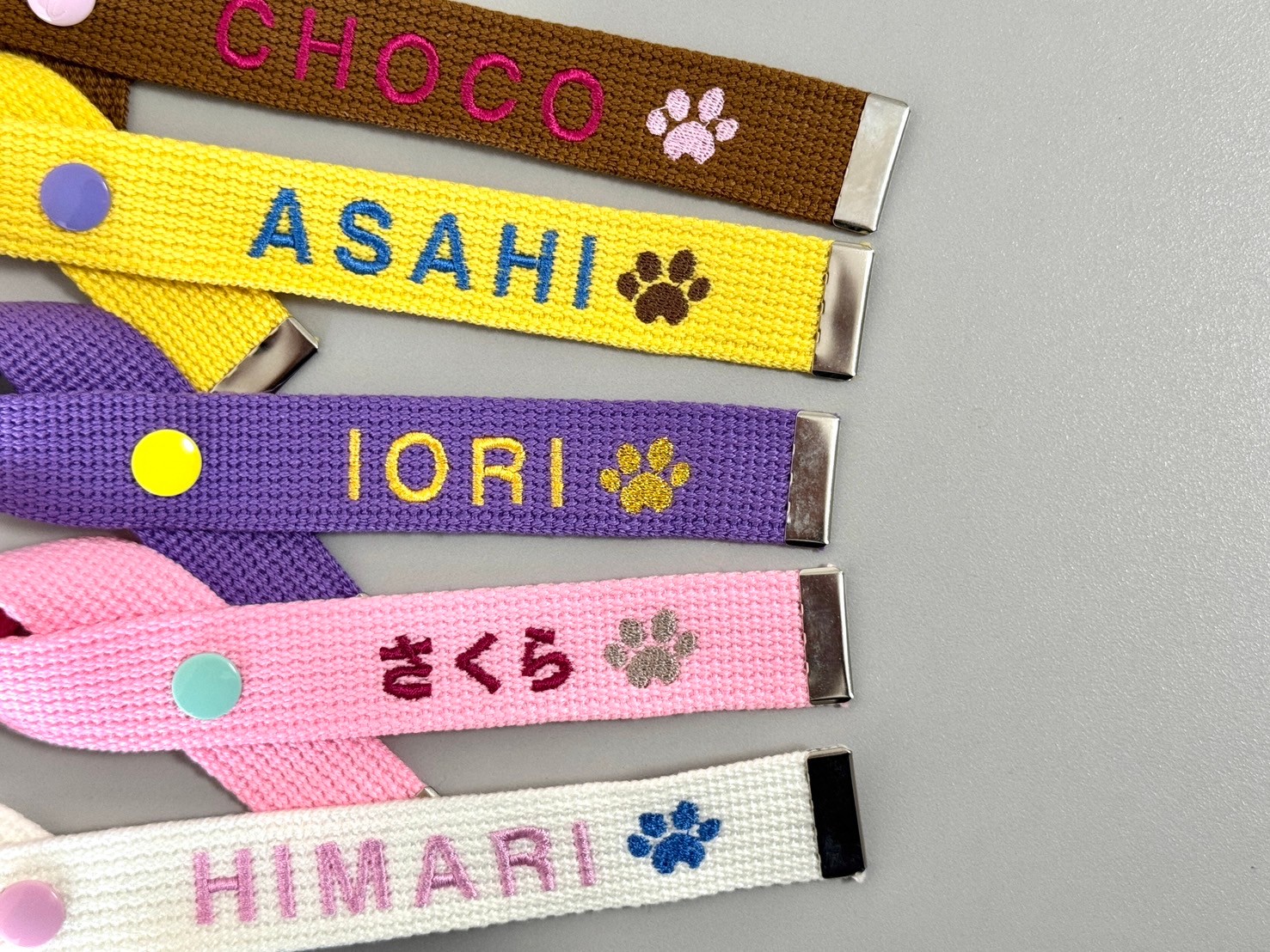 犬好きさん！必見企画が始まるわん🐶🎗️