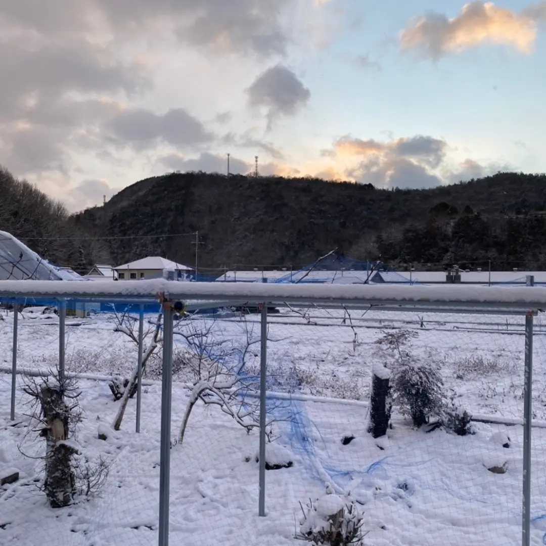 雪景色