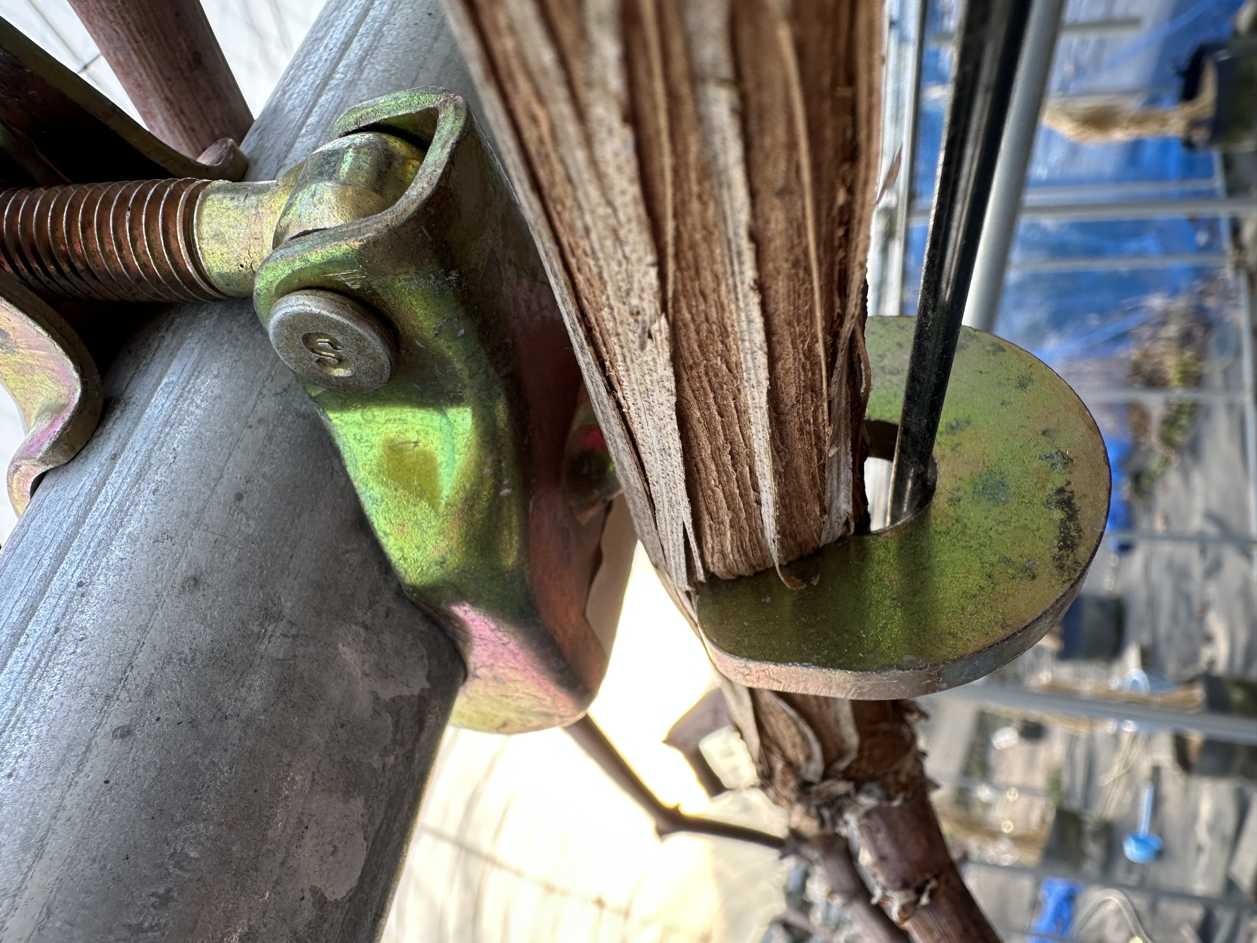 サニードルチェ詰まり