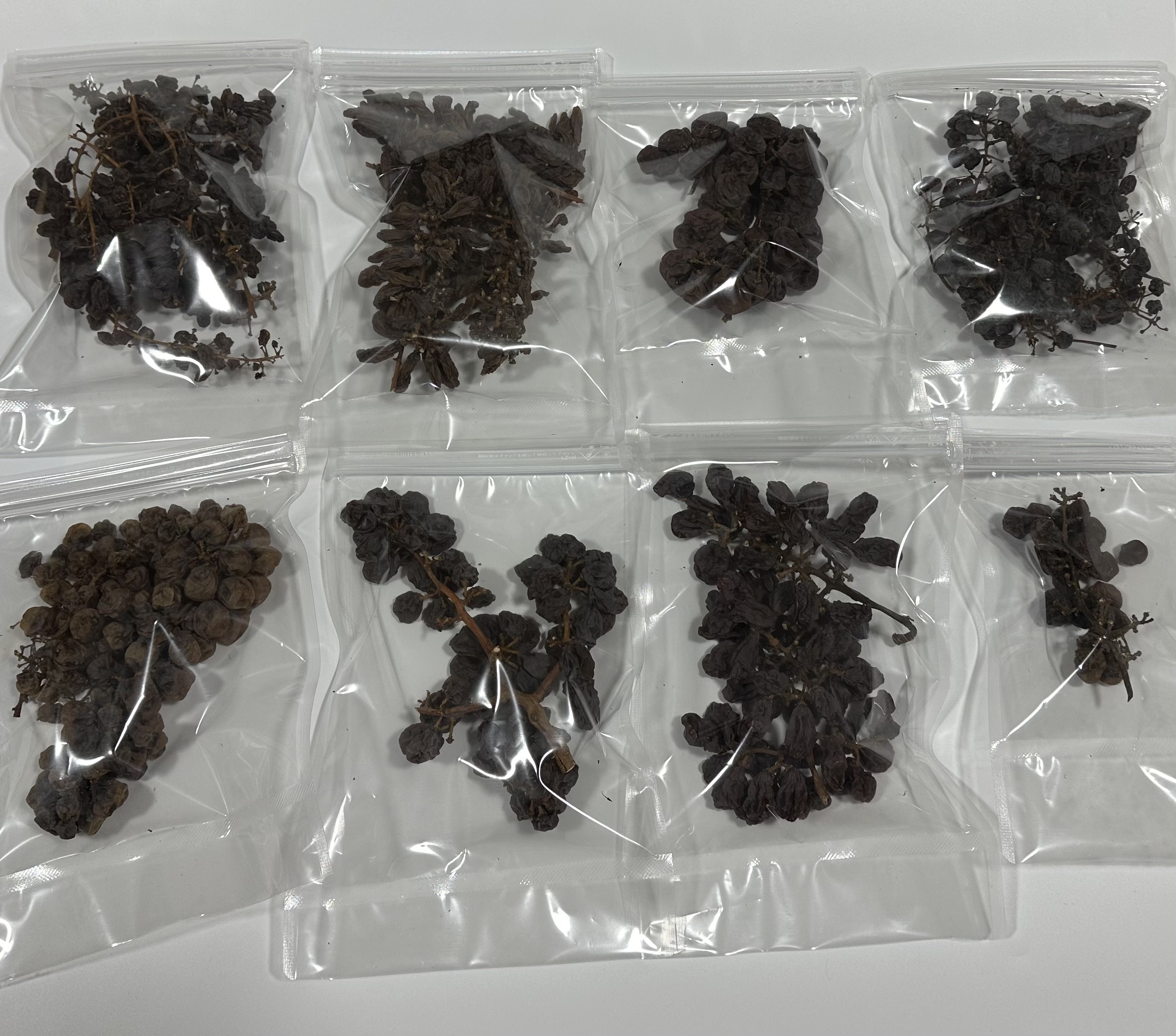 レーズン食べ比べセット