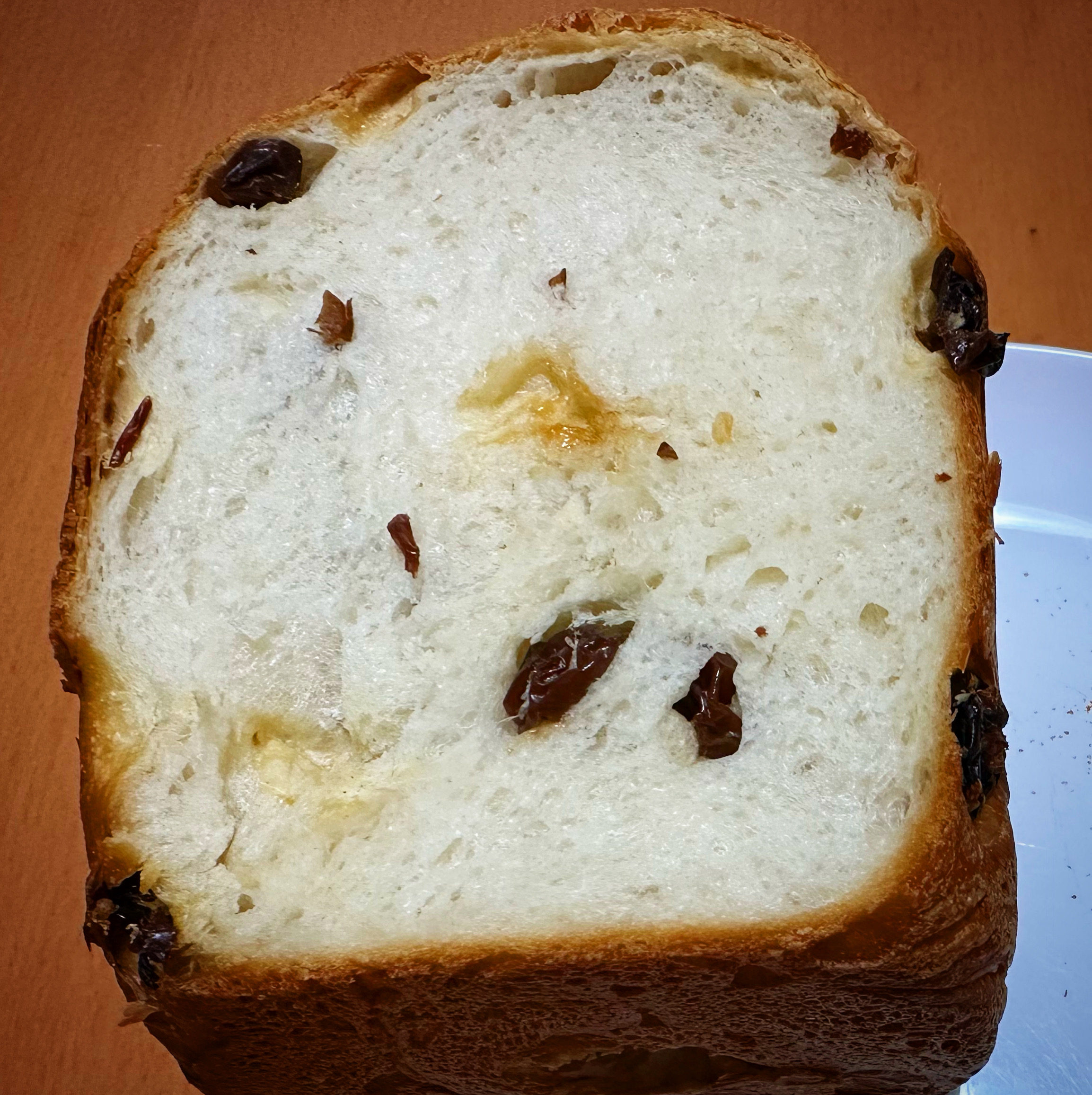 瀬戸ジャイアンツのレーズン