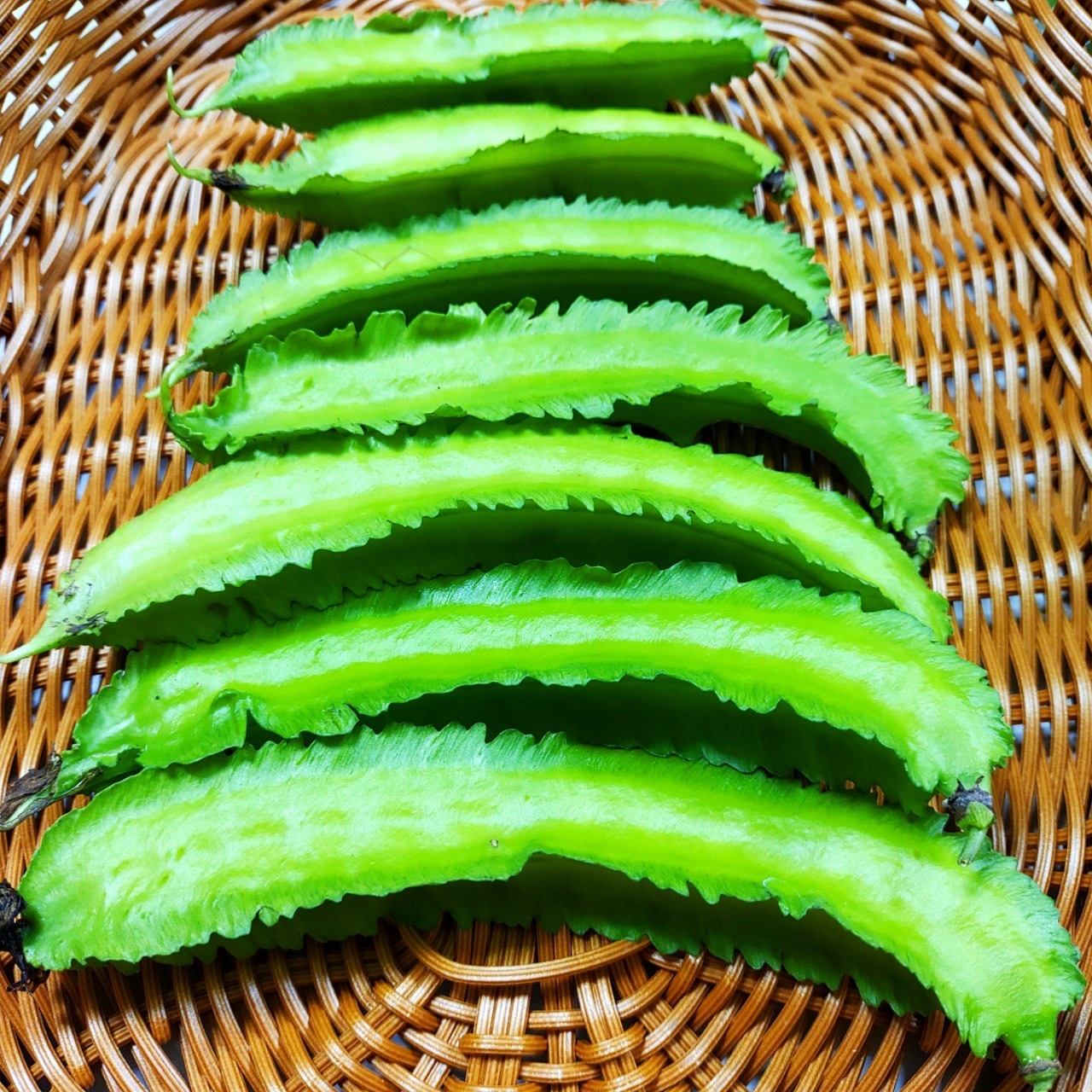 四角豆