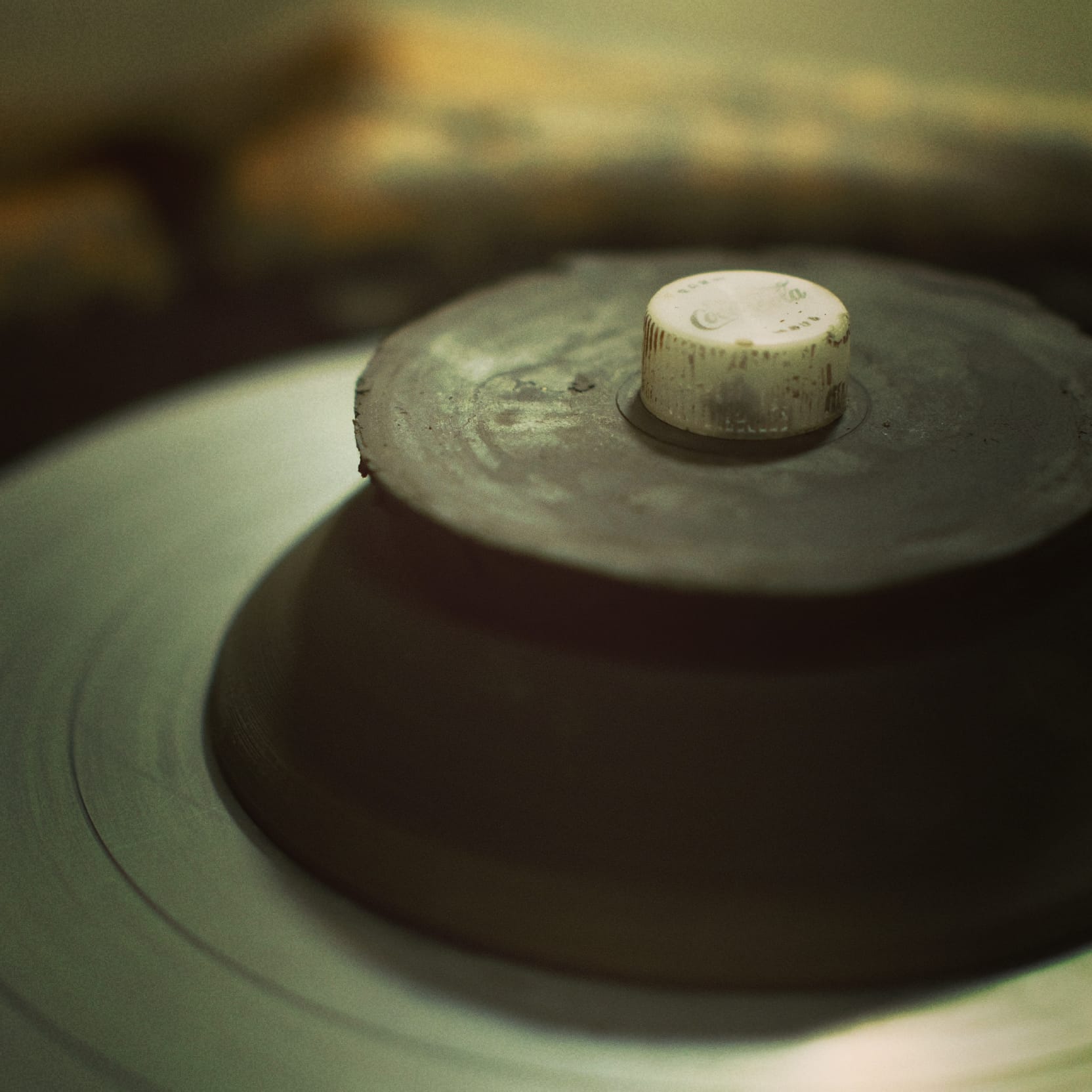 暖かいと思ったら…