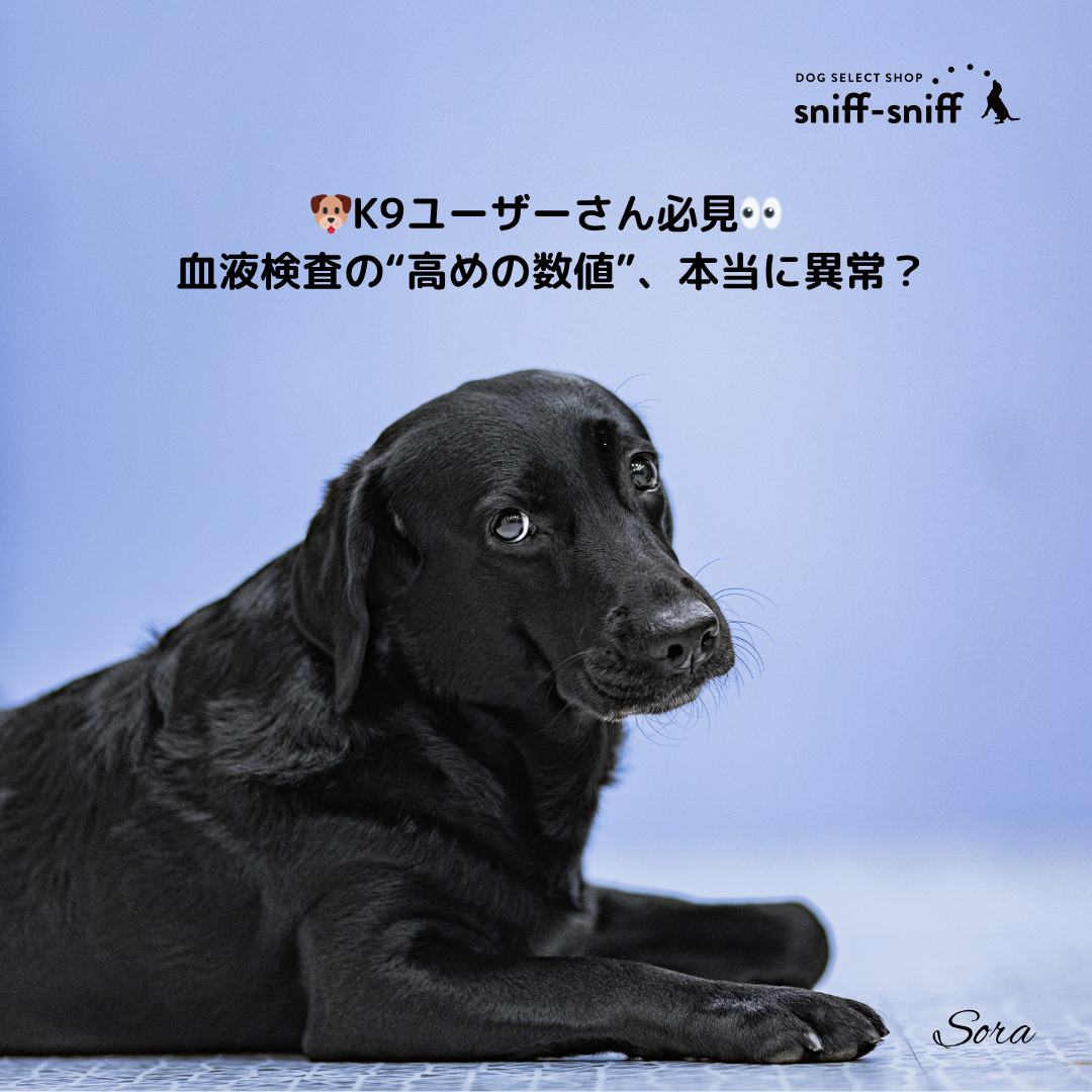 🩺 うちの子の血液検査、これでOK？ K9ユーザーが知っておきたい検査数値の読み方