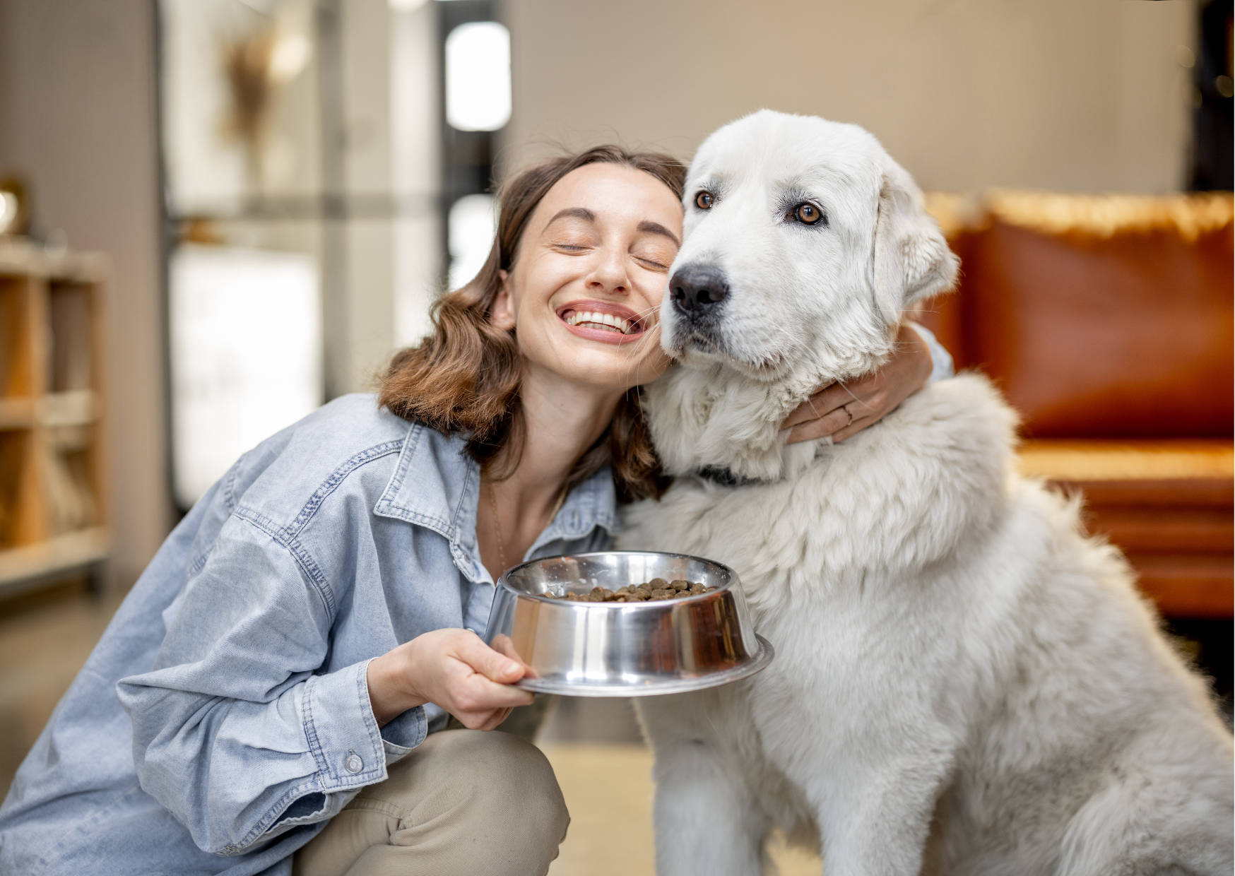 🐾なぜ少しで変わる?K9ナチュラルとPFCバランスの話