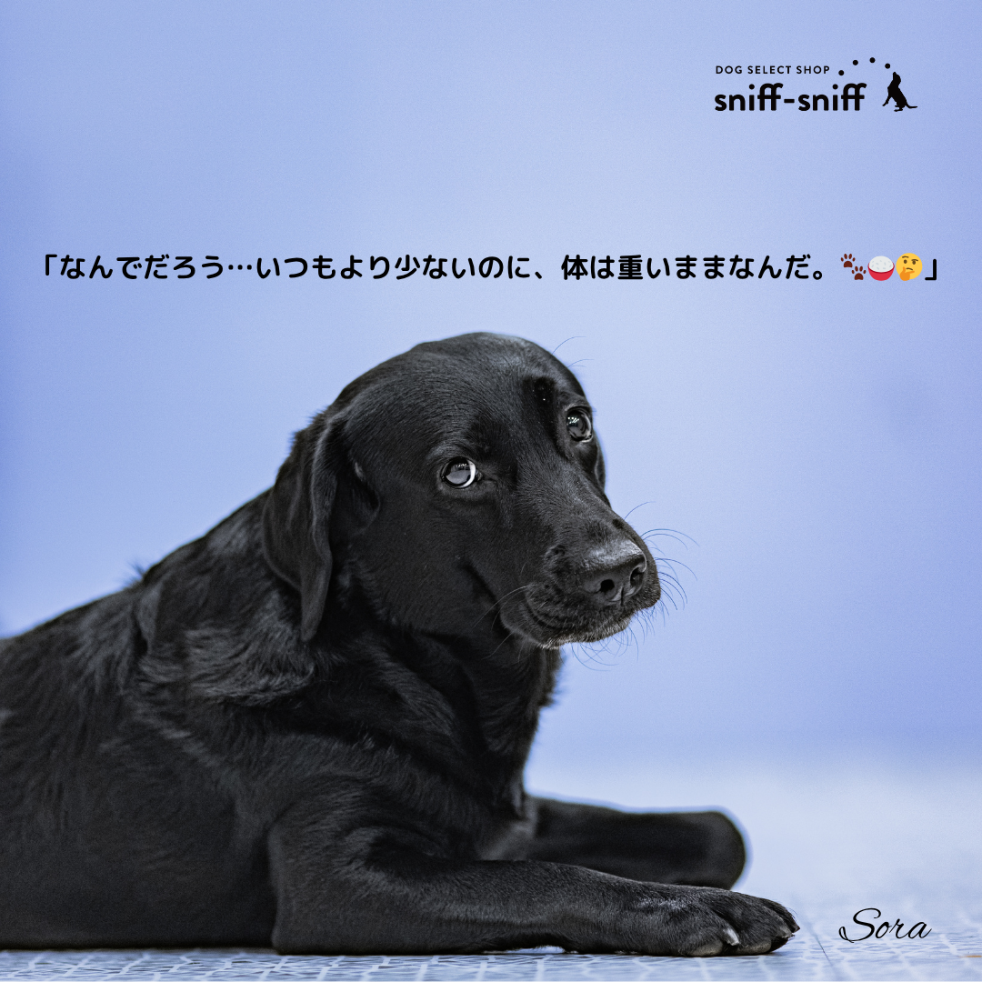 🐾「低脂質なのに痩せない？」🐶💦