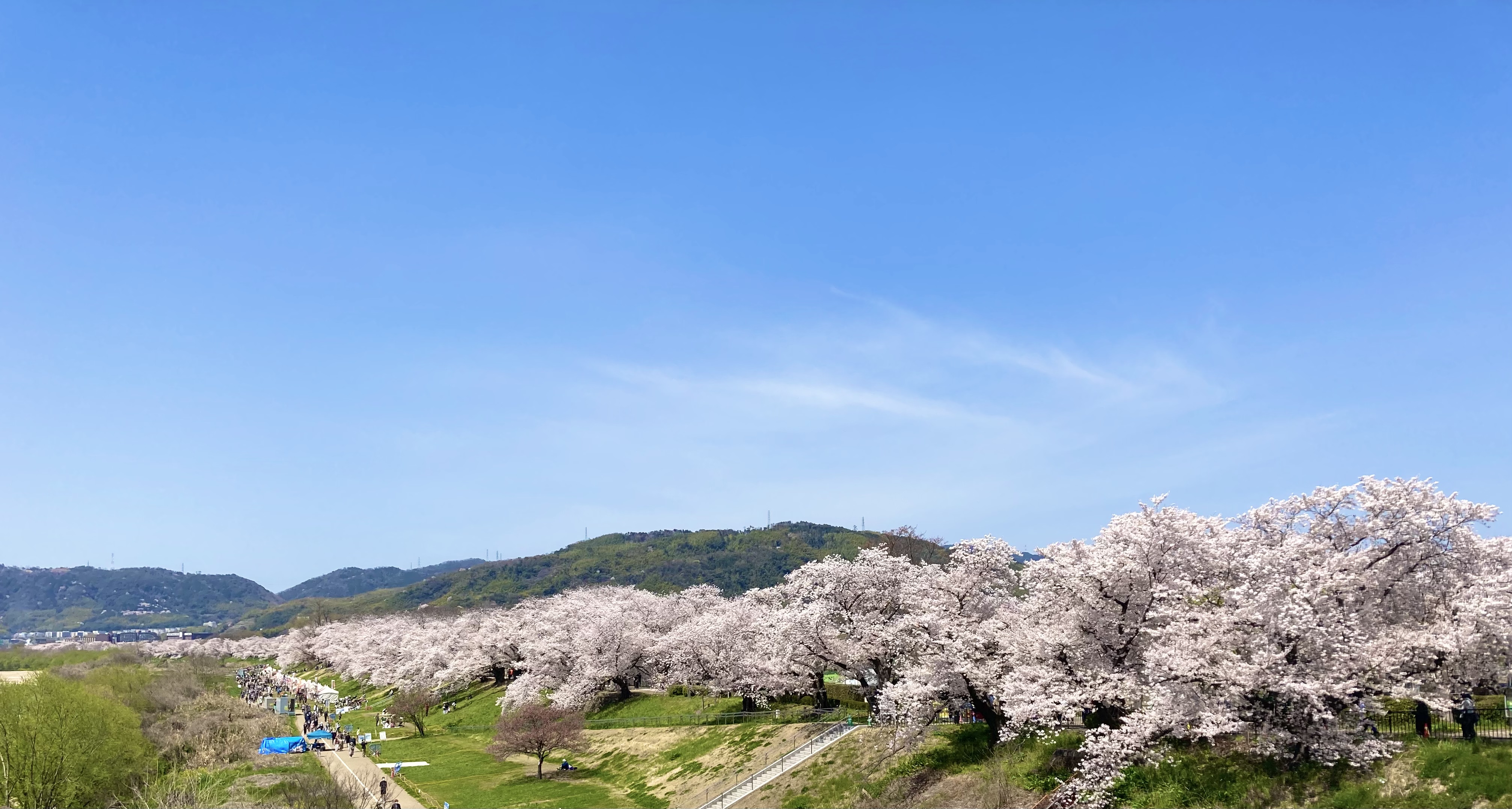 2022年5月の出店お知らせ
