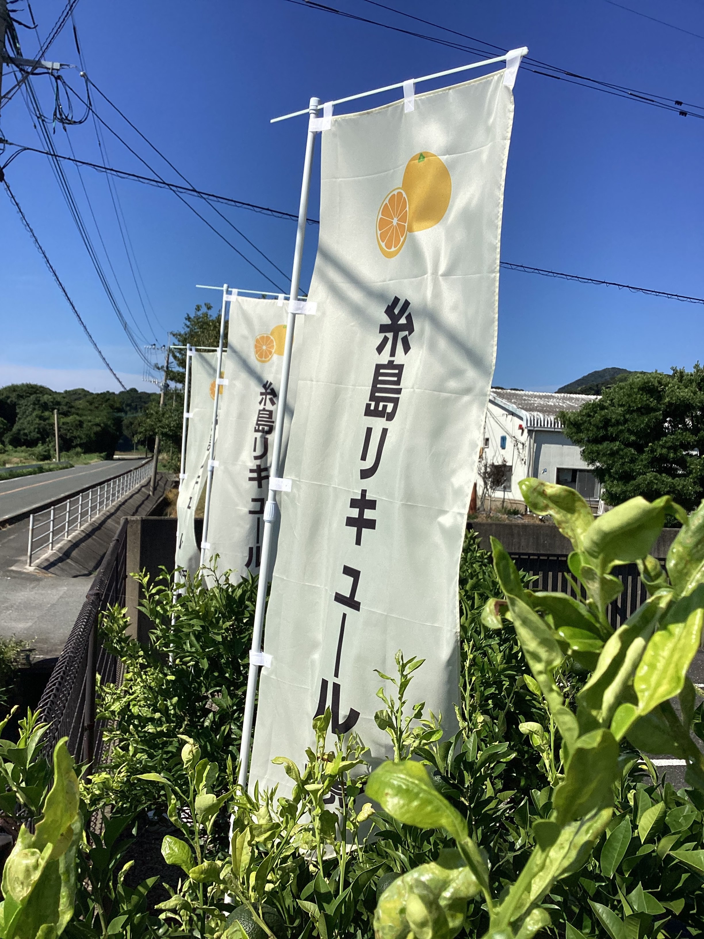 糸島リキュール