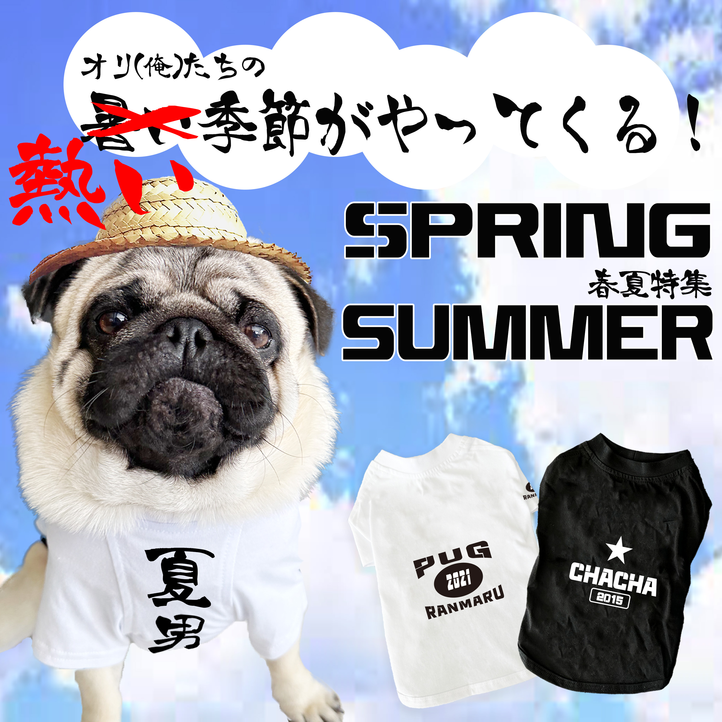 ◽️春夏特集◽️