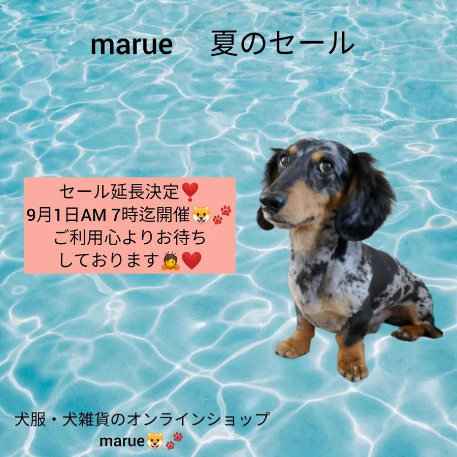 セール延長🔥のお知らせ🤗❤🐶