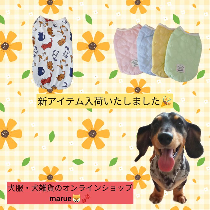 春アイテム🌸入荷のお知らせ❤