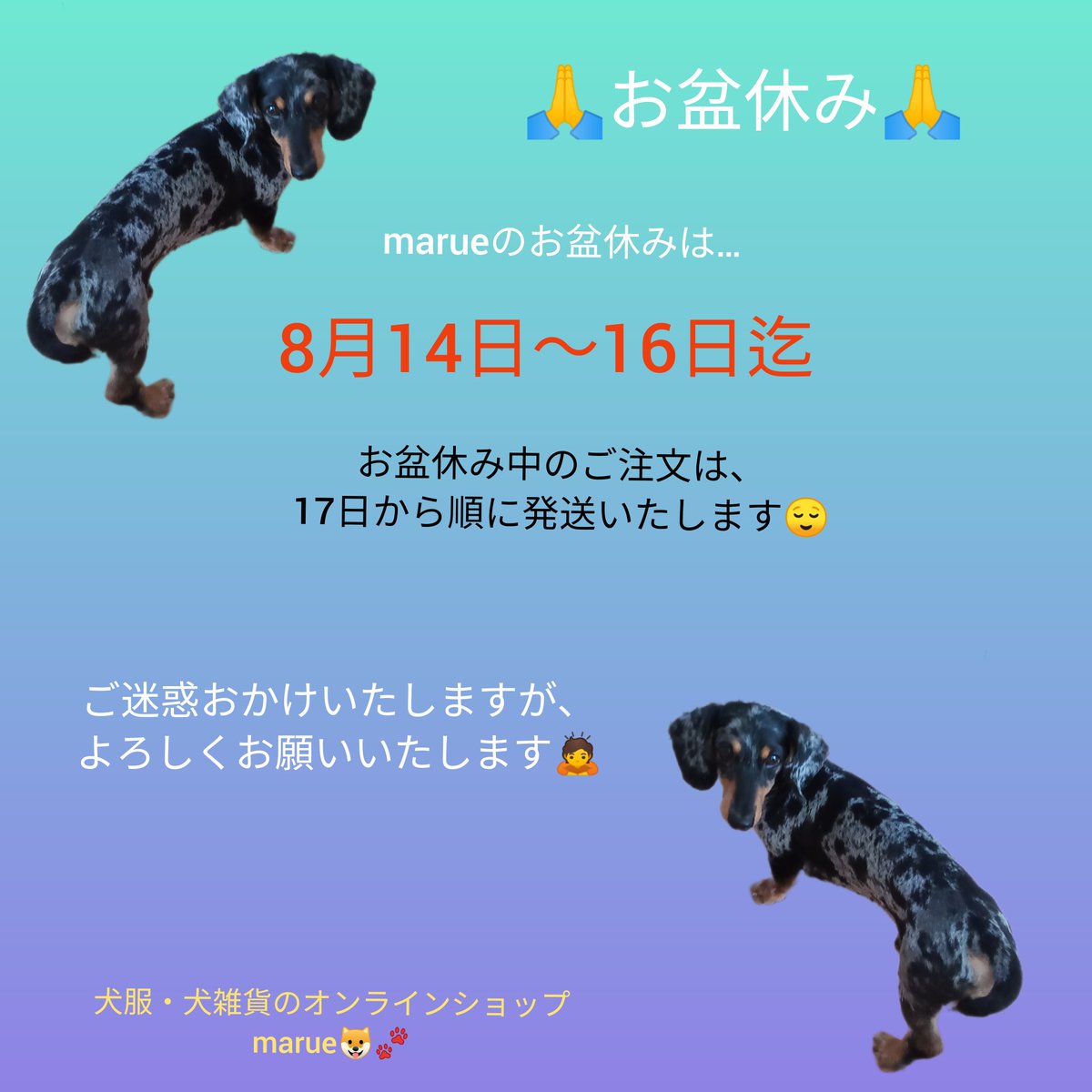 お盆休みのお知らせ🐶🐾