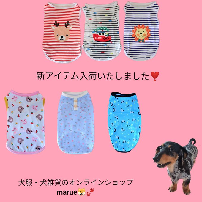 新アイテム入荷しました🐶🐾