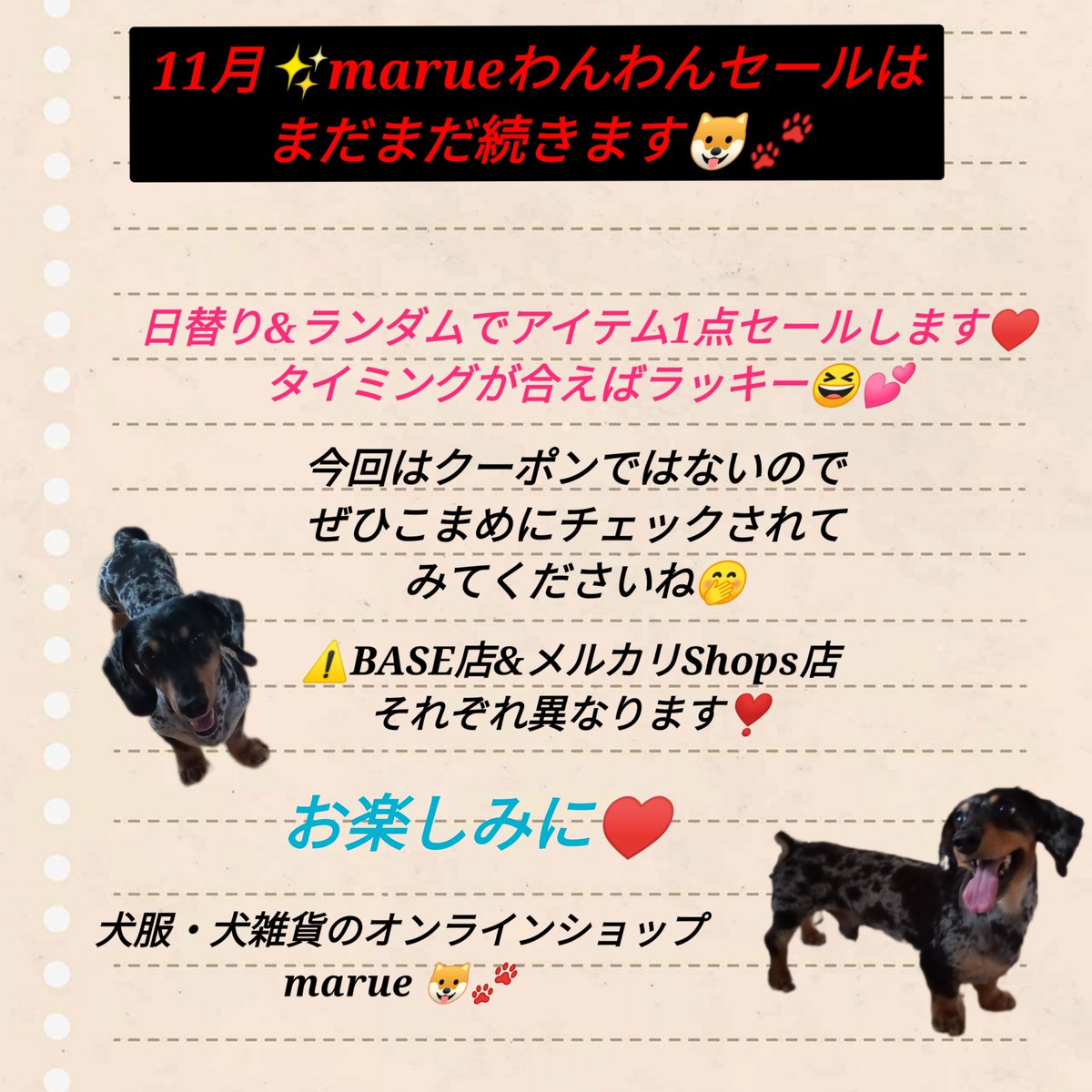 11月✨marueのわんわんセールはまだまだ続きます🤗❤🐶