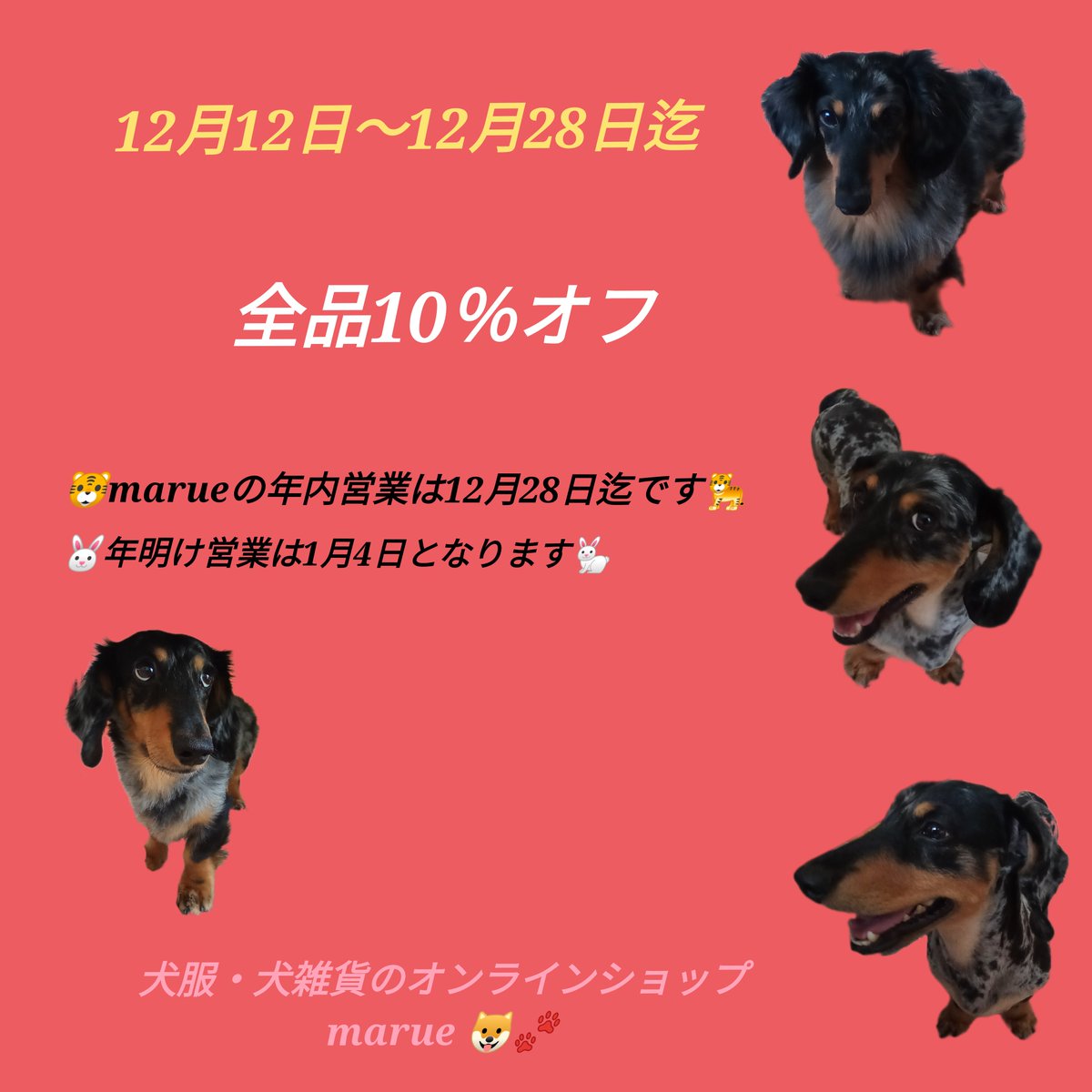 marue全品10％OFF&年内営業のお知らせです🐶