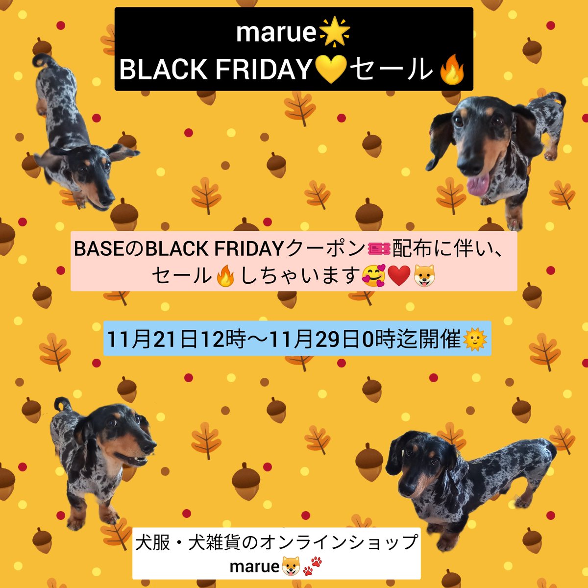 いよいよ✨BASEクーポンご利用開始&marueもBLACKFRIDAYセール開始🔥