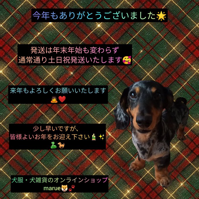今年もありがとうございました🌟