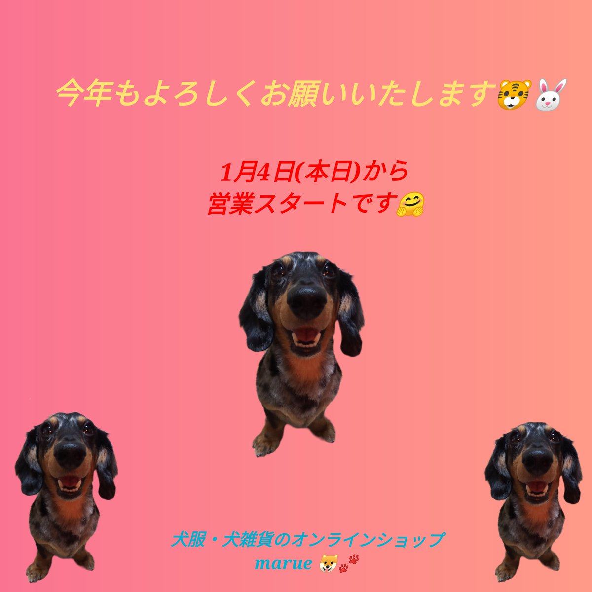 今年もよろしくお願いいたします🐶🐾