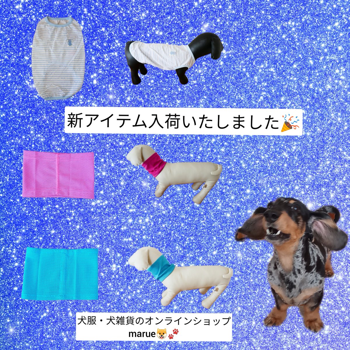新アイテム🌟入荷いたしました🤗
