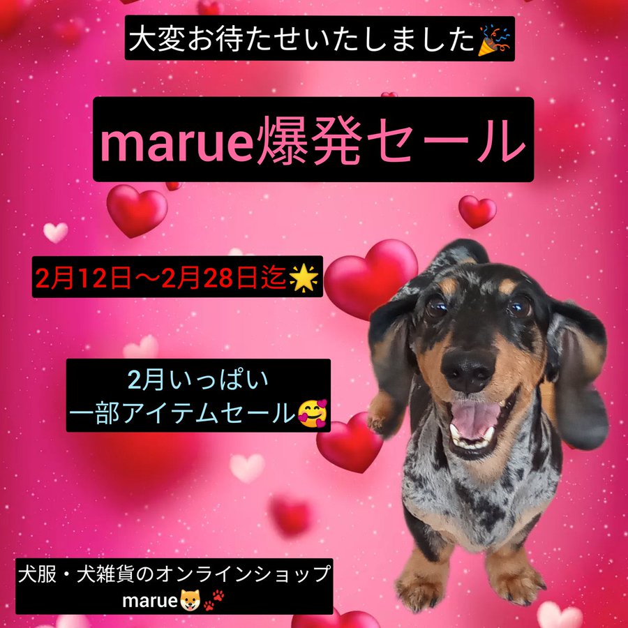 marue爆発セール💣開始です🔥