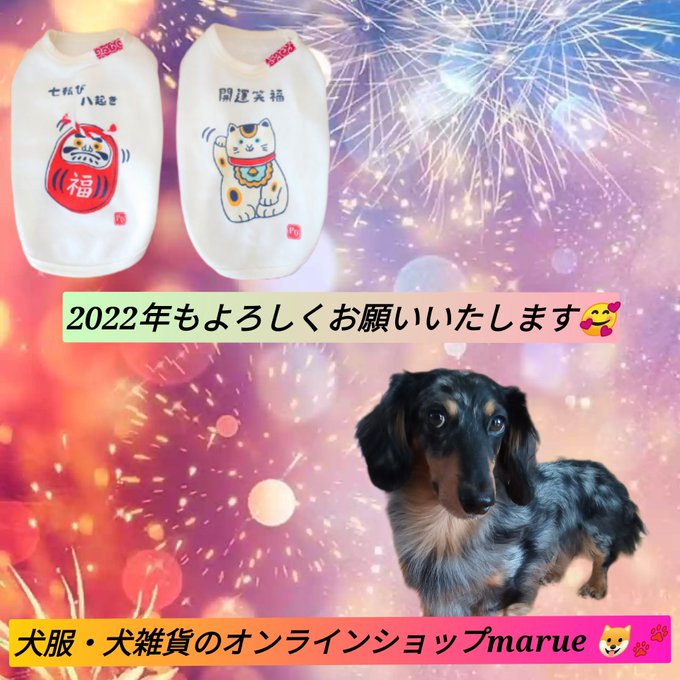 今年もよろしくお願いいたします🐶