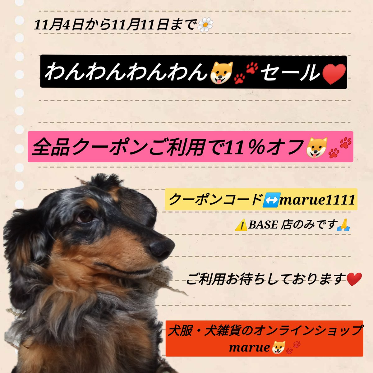 大変お待たせいたしました💞ついに❣marueわんわんわんわんクーポン配布スタートです🤗❤🐶✨