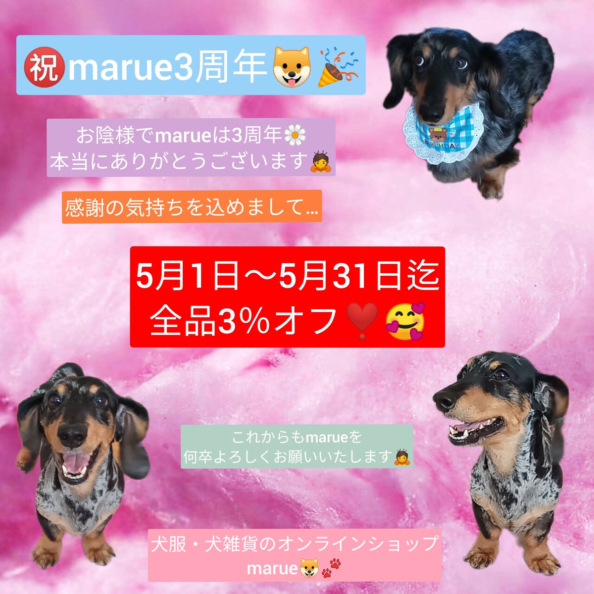 ㊗marue3周年🎉