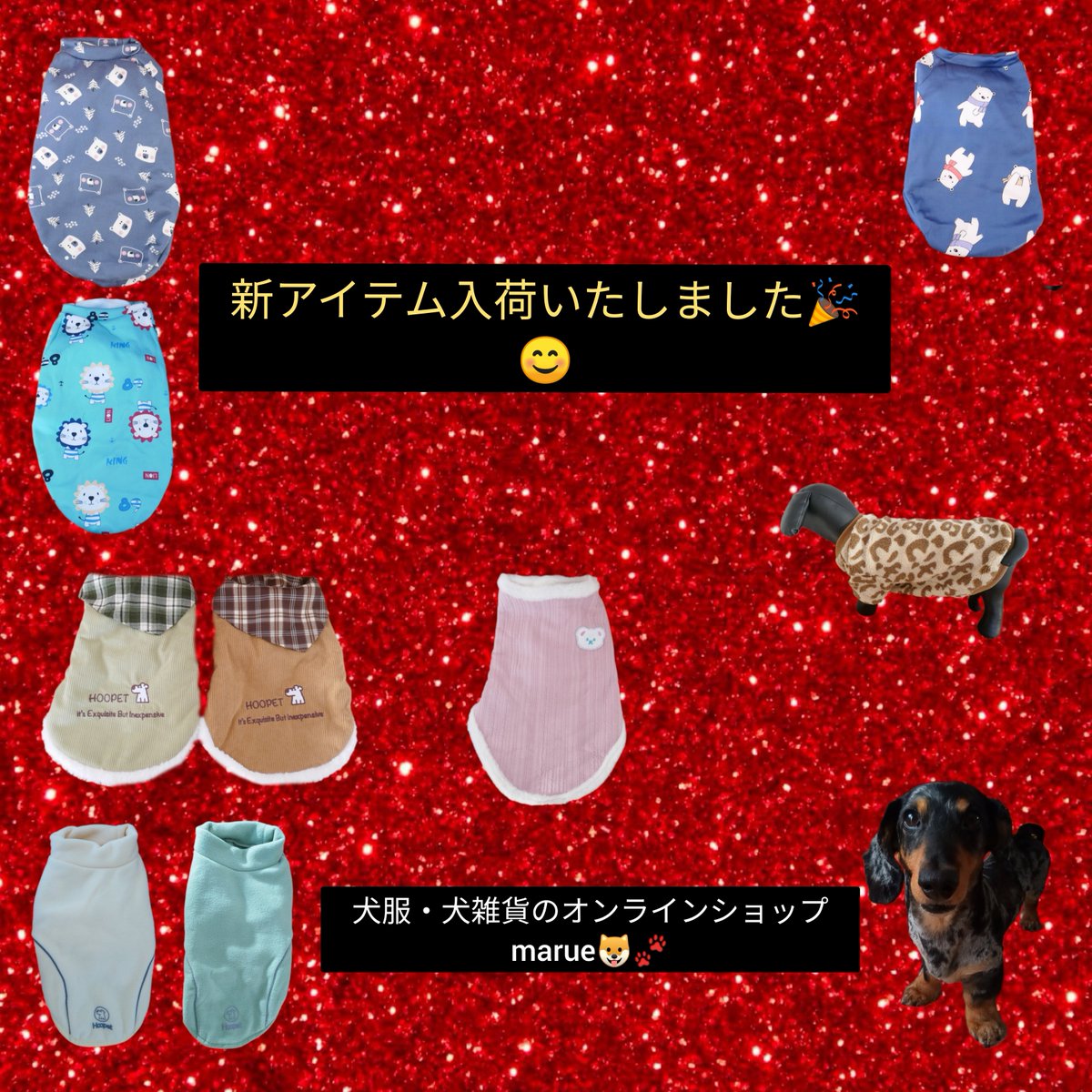 🌟新アイテム入荷のお知らせ🌟