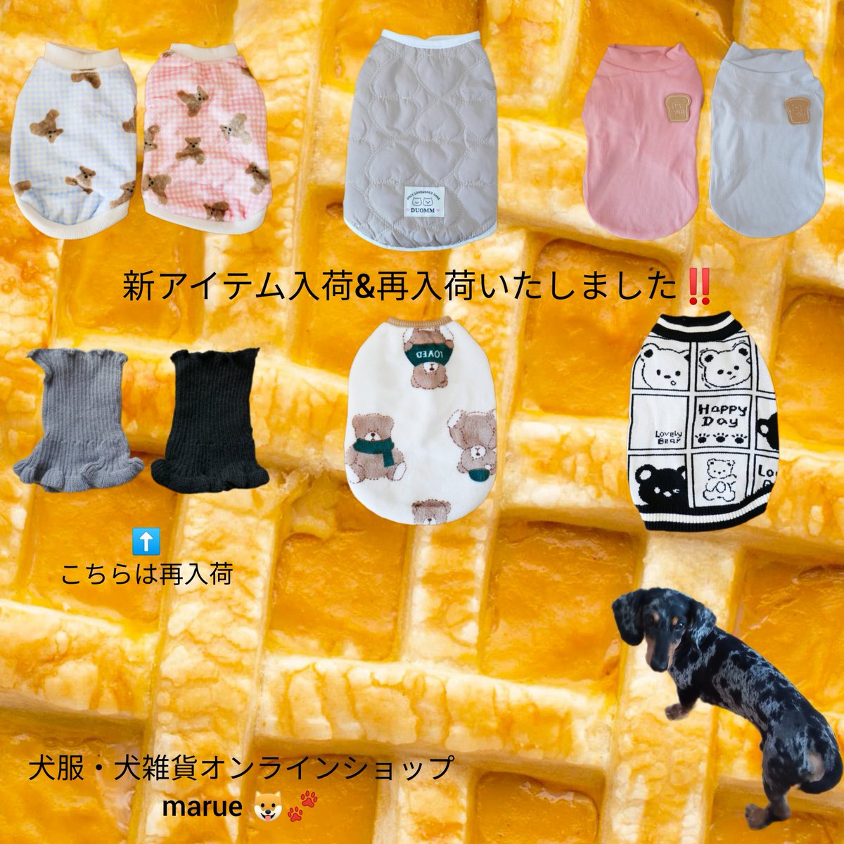新アイテム＆再入荷のお知らせです🔔