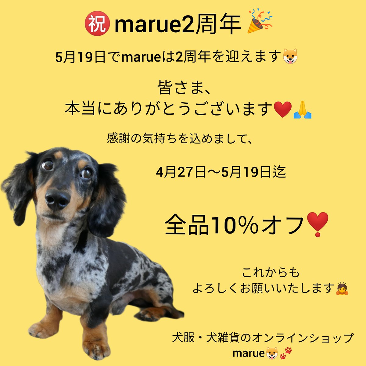 犬服・犬雑貨のオンラインショップmarue㊗2周年セールのお知らせ🎉