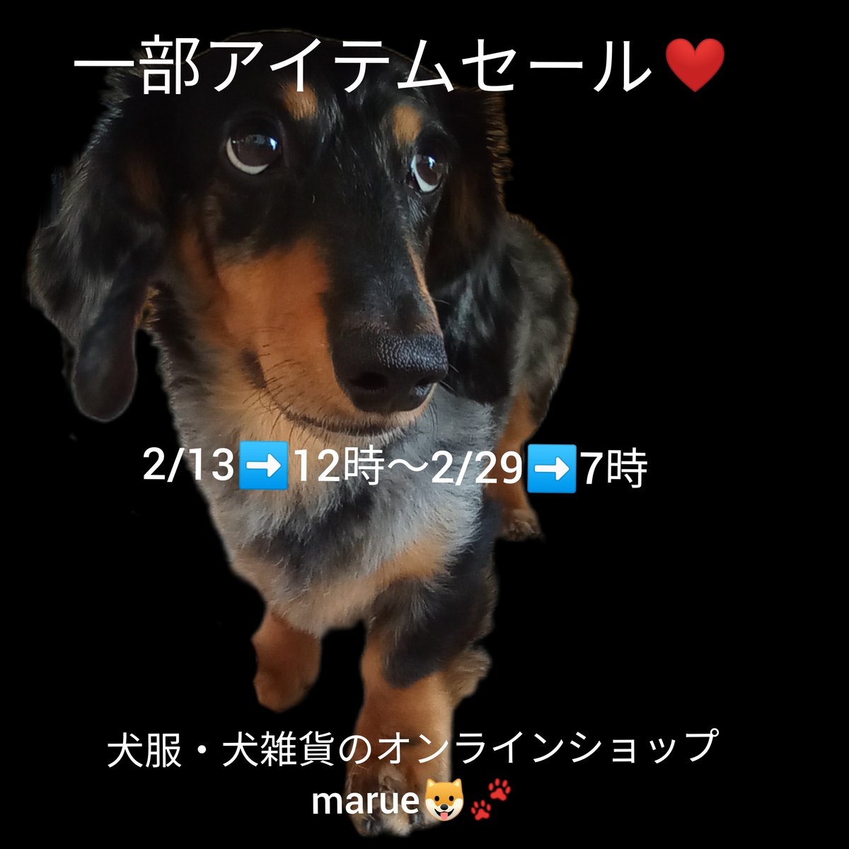 一部アイテムセール開始のお知らせです🐶