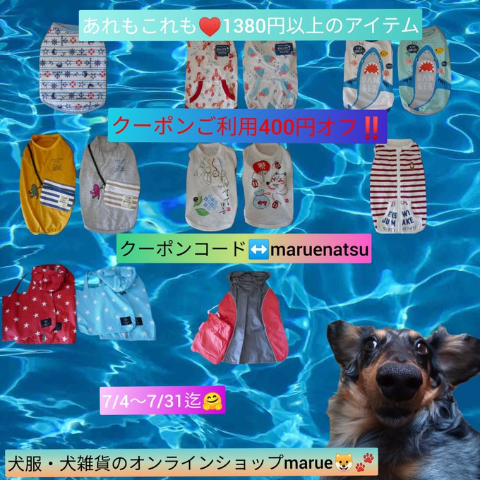 まだまだクーポンもご利用いただけます🐶そしてプチプラシリーズもよろしくお願いいたします🤗