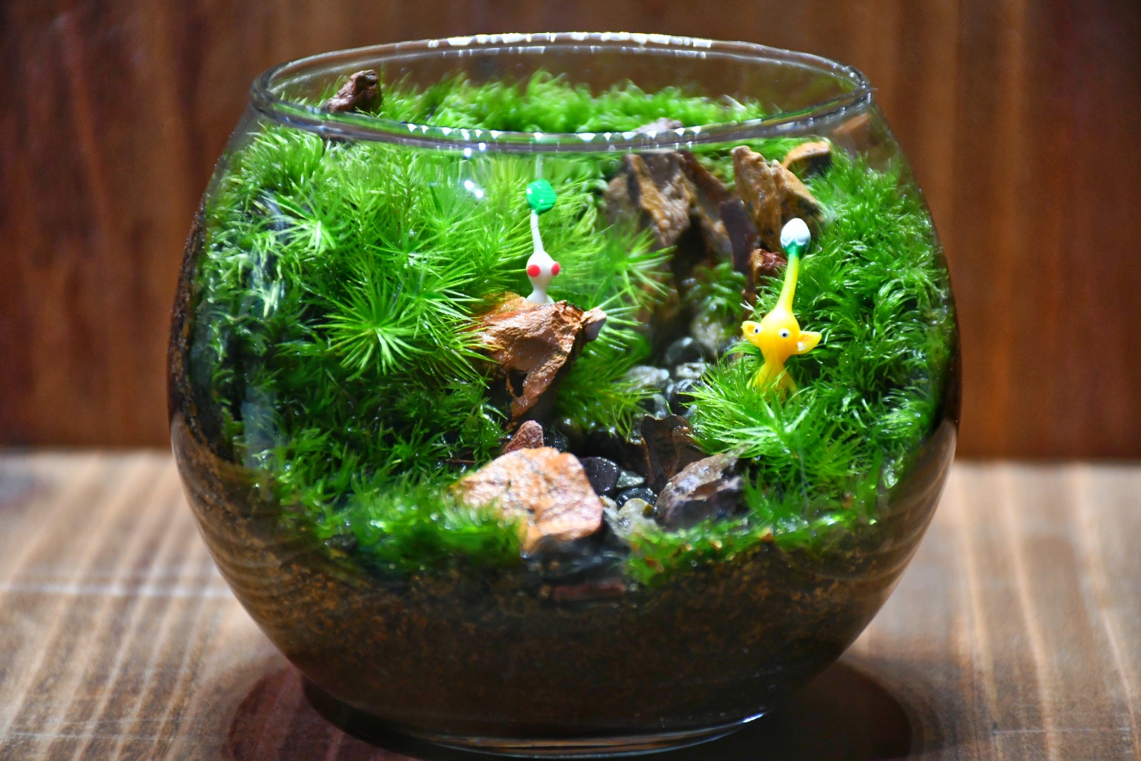 ✳︎✳︎🌱ピクミンの苔テラリウム🌱✳︎✳︎