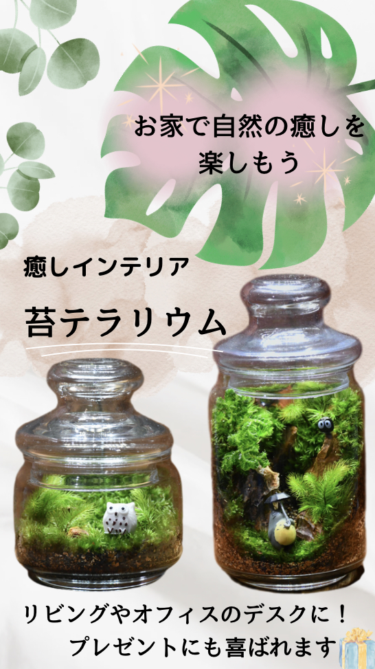 ✳︎✳︎新しい容器が入荷しました✨✳︎✳︎