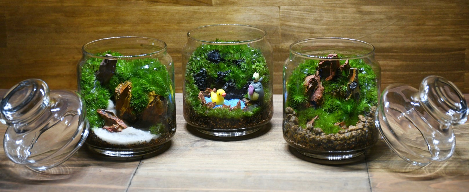 ✨✨新！容器登場✨✨