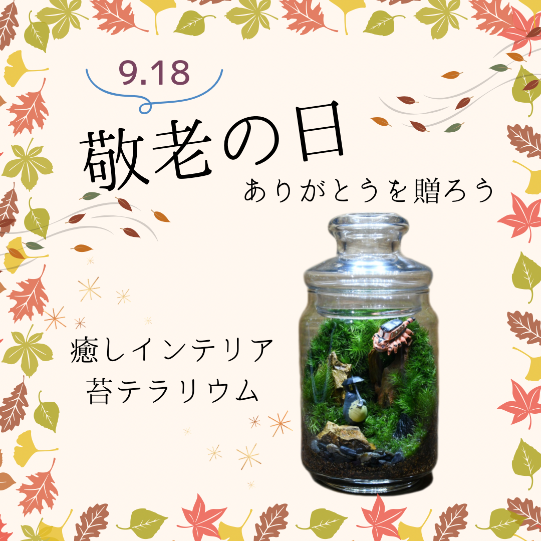 ✳︎✳︎👨🏼‍🦳9.18 敬老の日の贈り物👵🏼✳︎✳︎