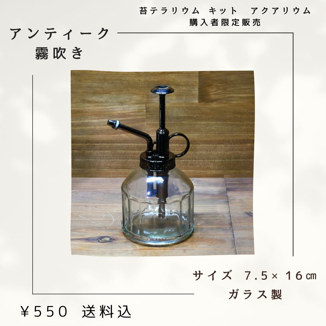 ✳︎【苔テラリウム、キット、アクアリウム購入者限定販売】アンティークな霧吹き✳︎
