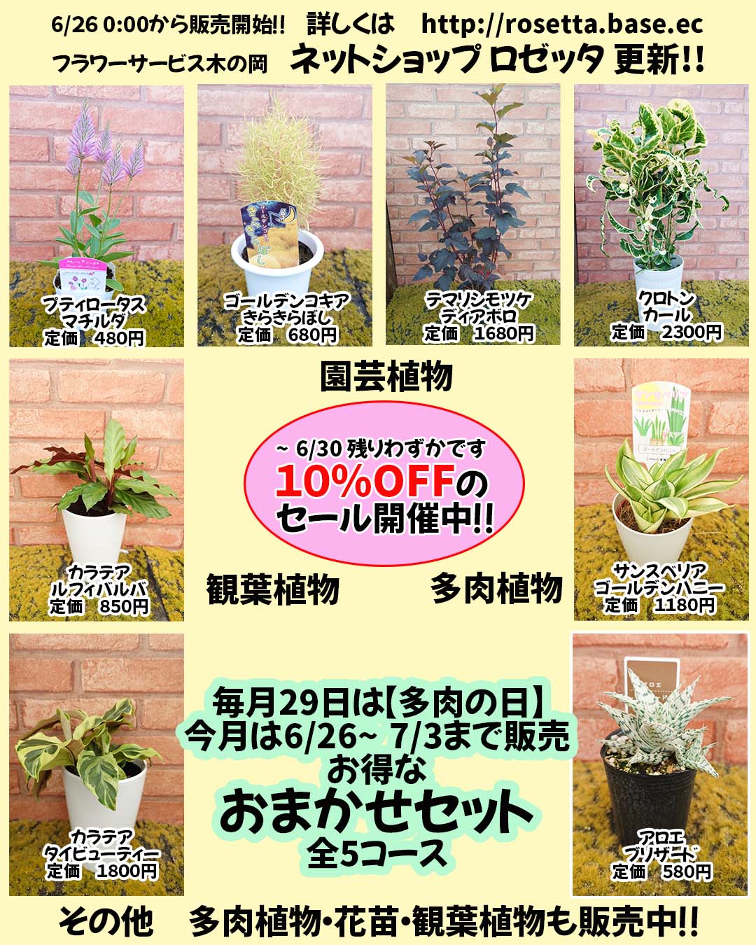 6/26 商品ラインナップ更新