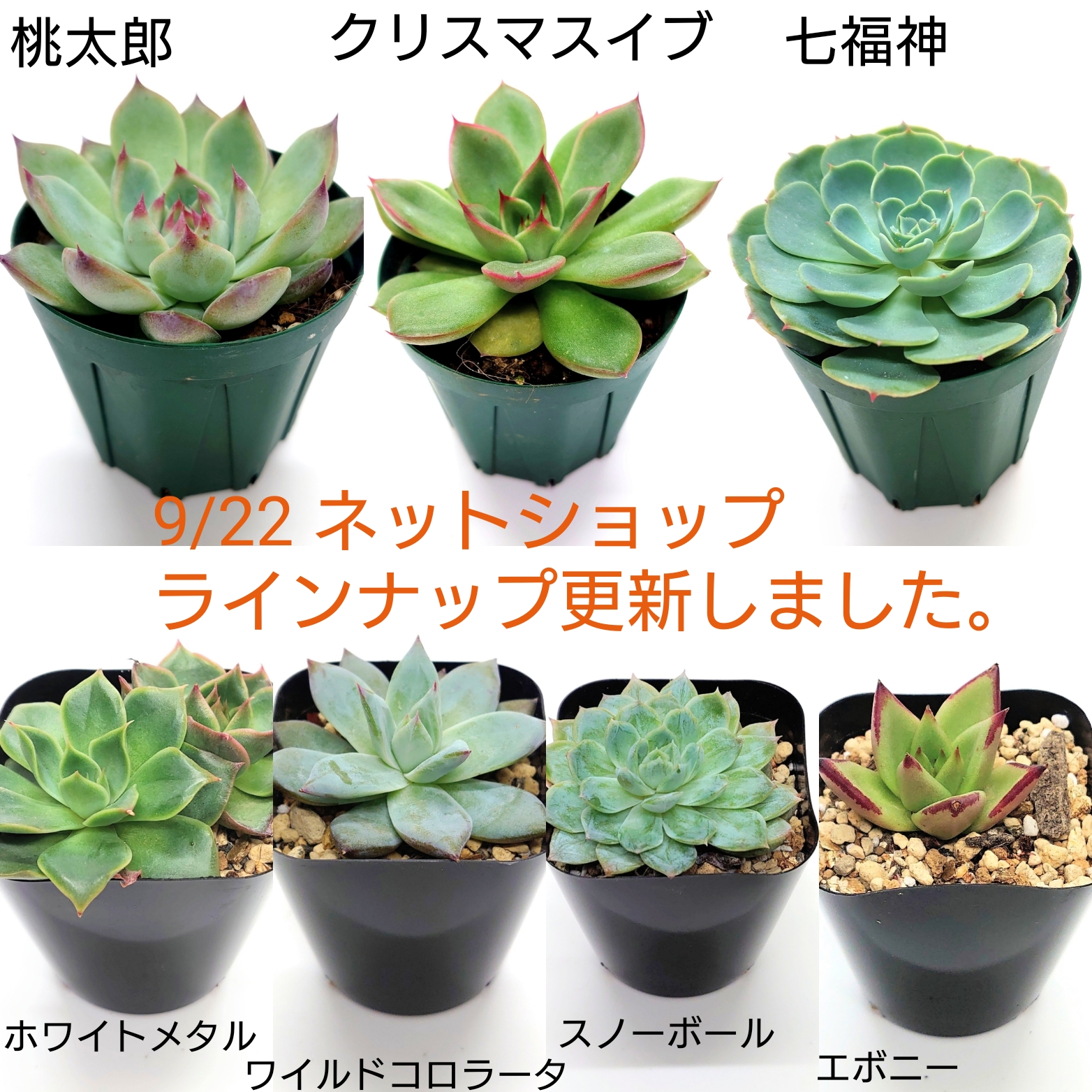 9/22日ラインナップ更新しました。