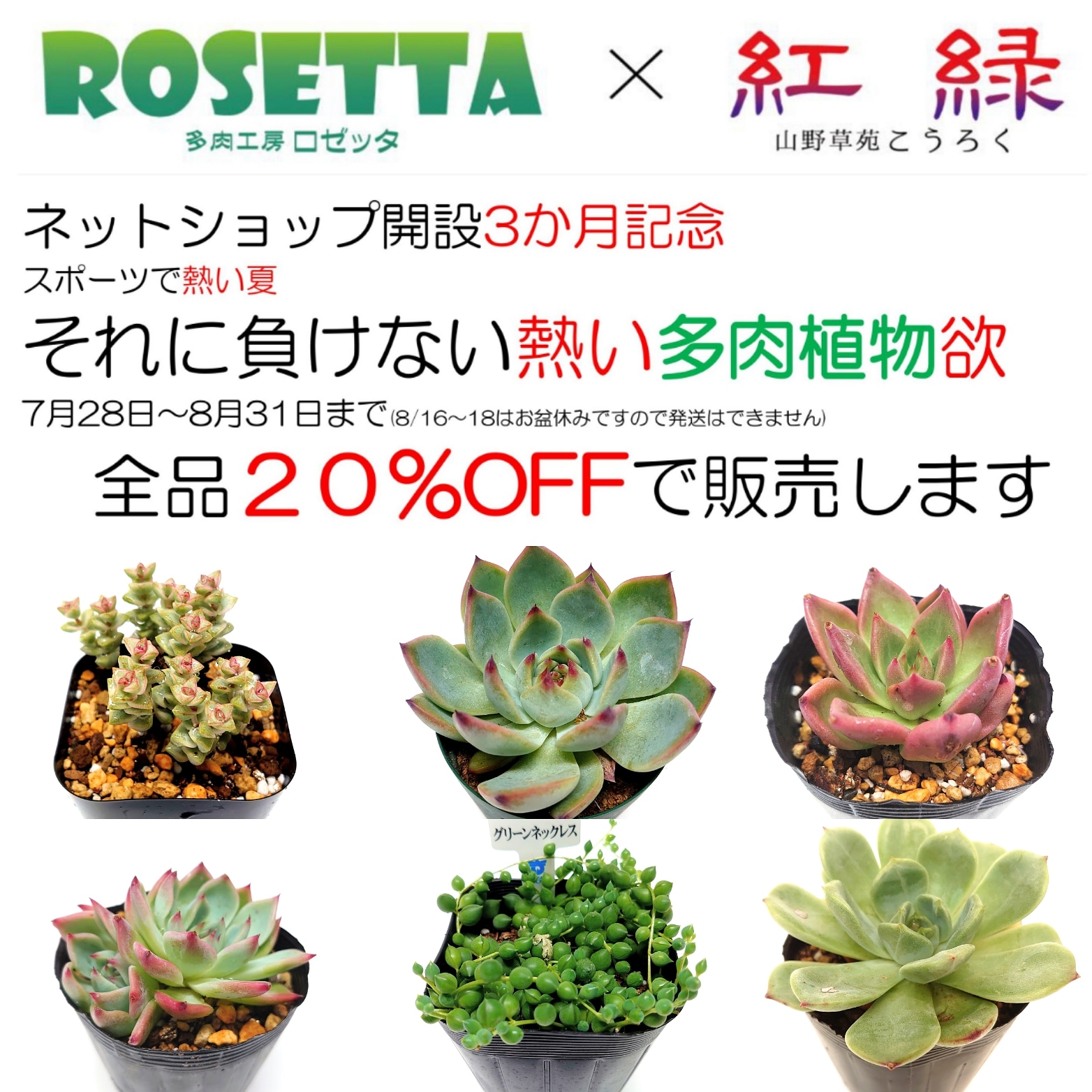 7月28日～8月31日までサマーセール開催します。