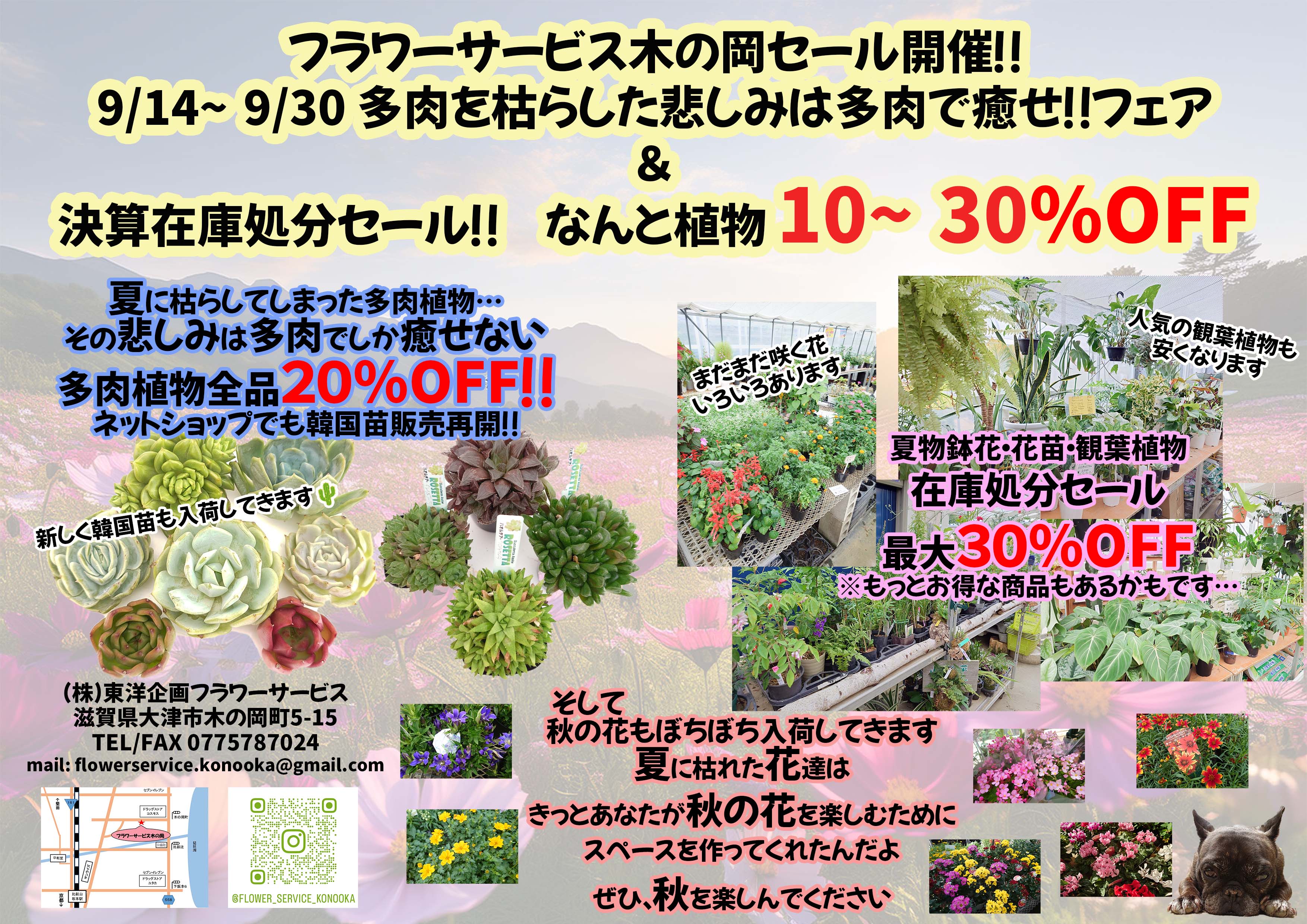 セールのお知らせと商品ラインナップ更新情報