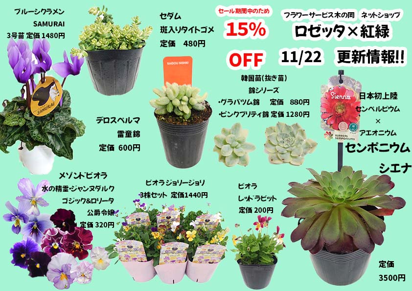 11/22商品ラインナップ更新