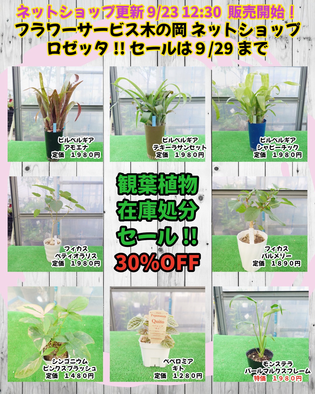 9/23ネットショップ更新