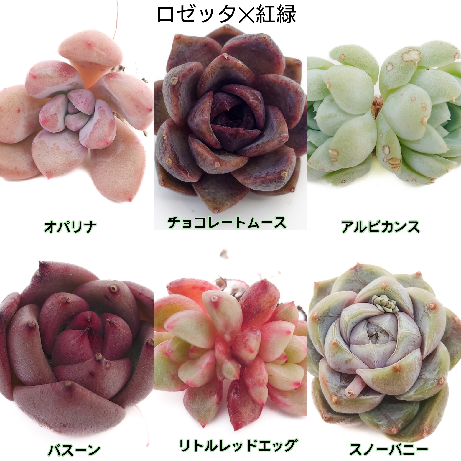 3/22 商品ラインナップ更新します。