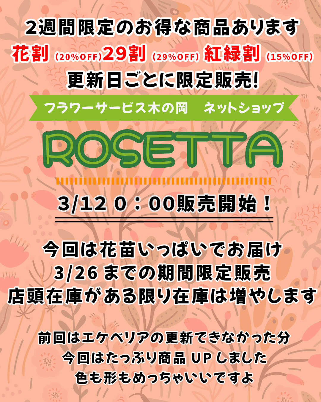 【３/12ロゼッタ更新】🌸花苗🌸🌵エケベリア🌵いっぱい販売スタート！期間限定商品もあるよ！
