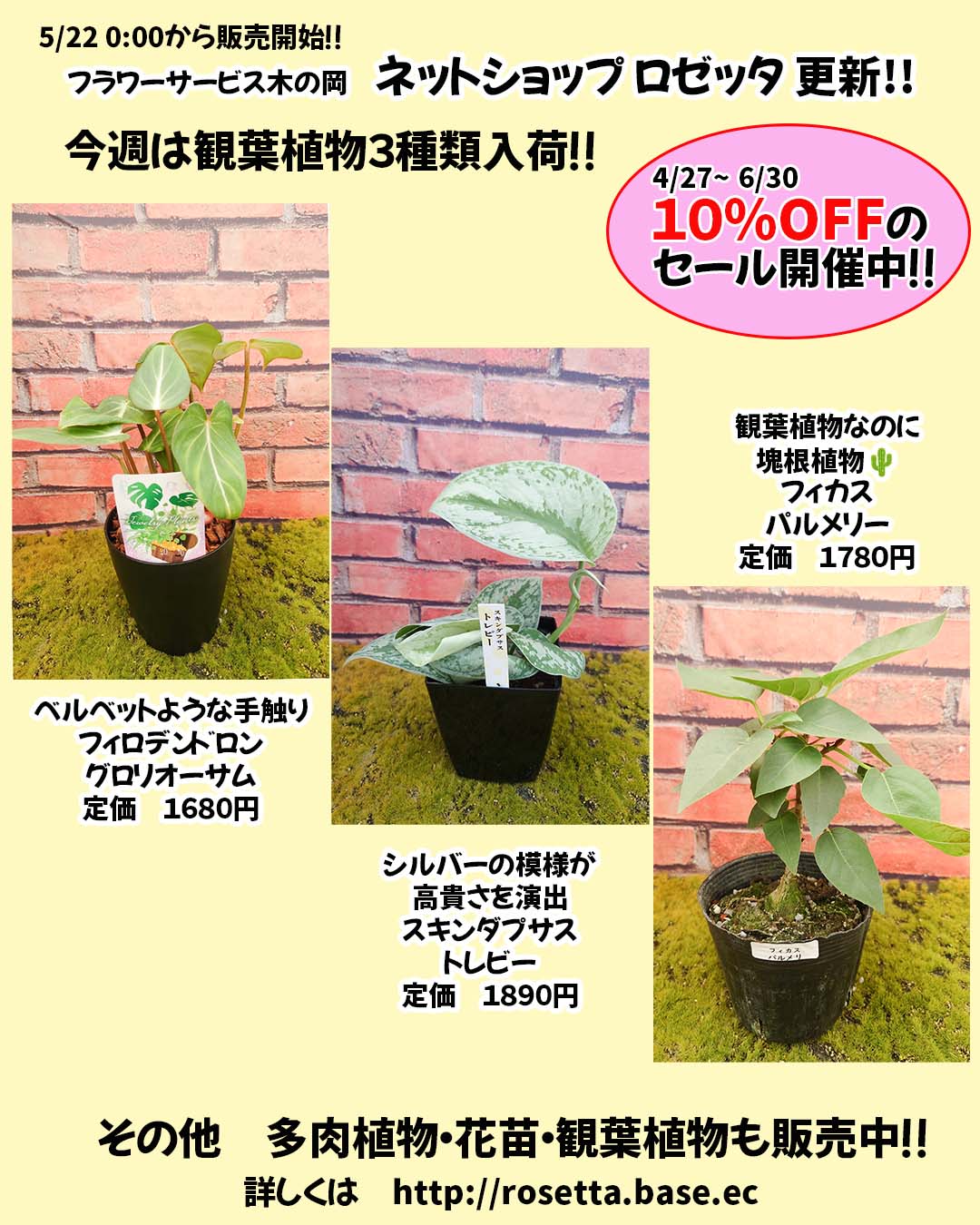 5/22　商品ラインナップ更新