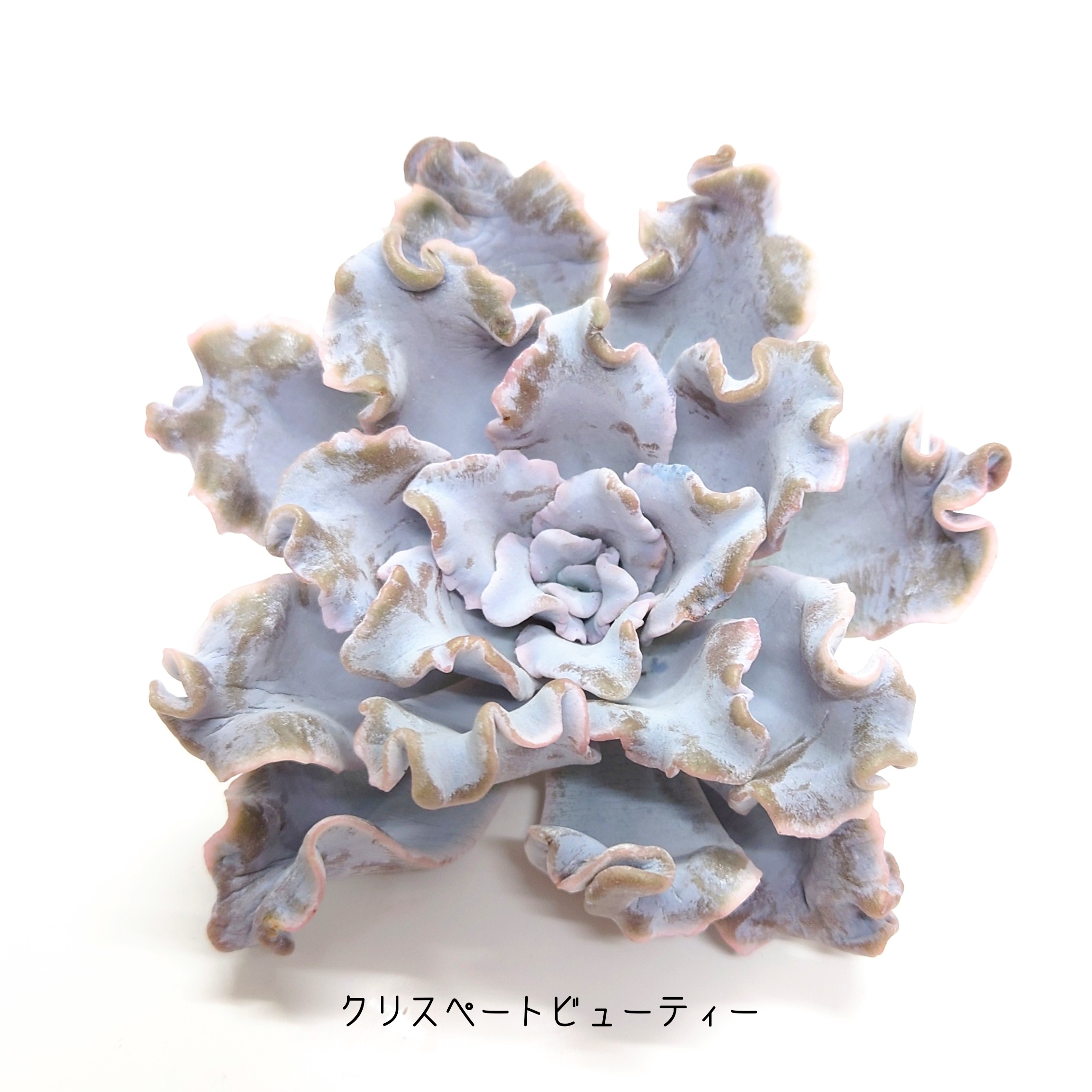 8/10 商品ラインナップ更新します。