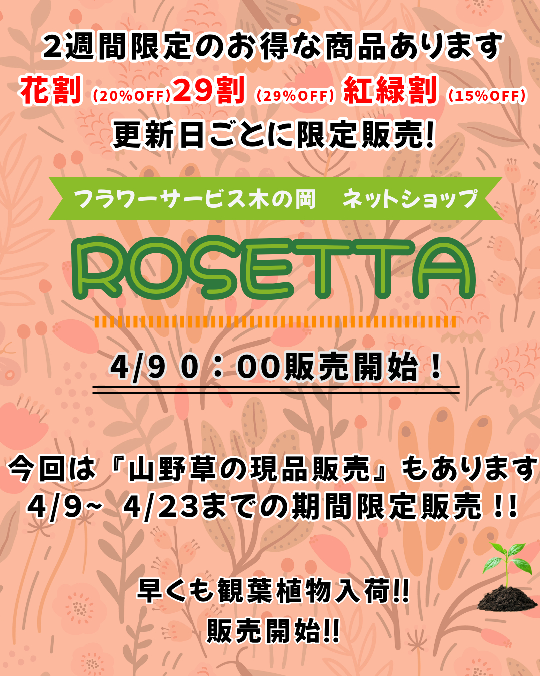 暖かくなりましたね　園芸の季節です